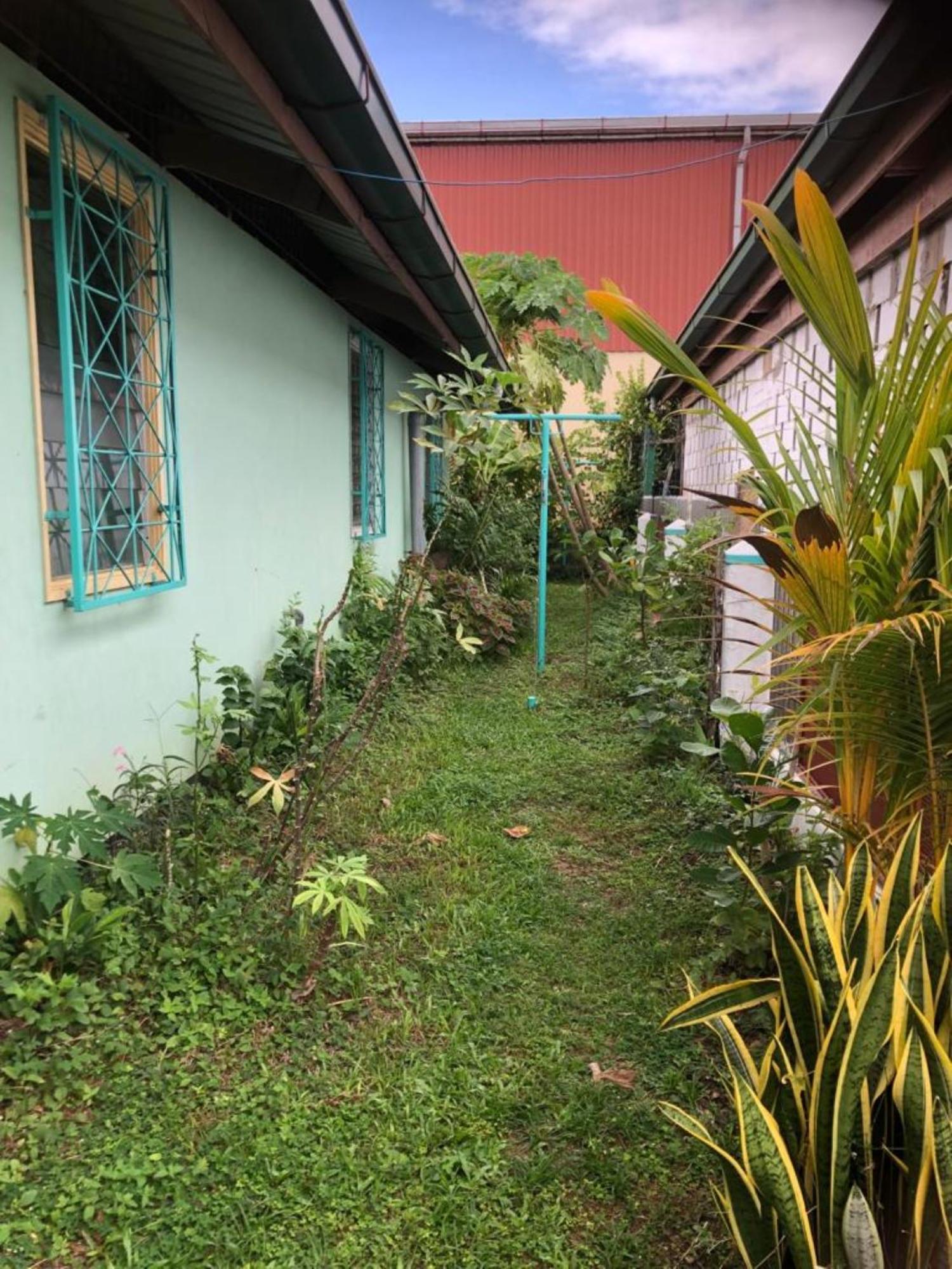 Unu Pikin Guesthouse Paramaribo Phòng bức ảnh