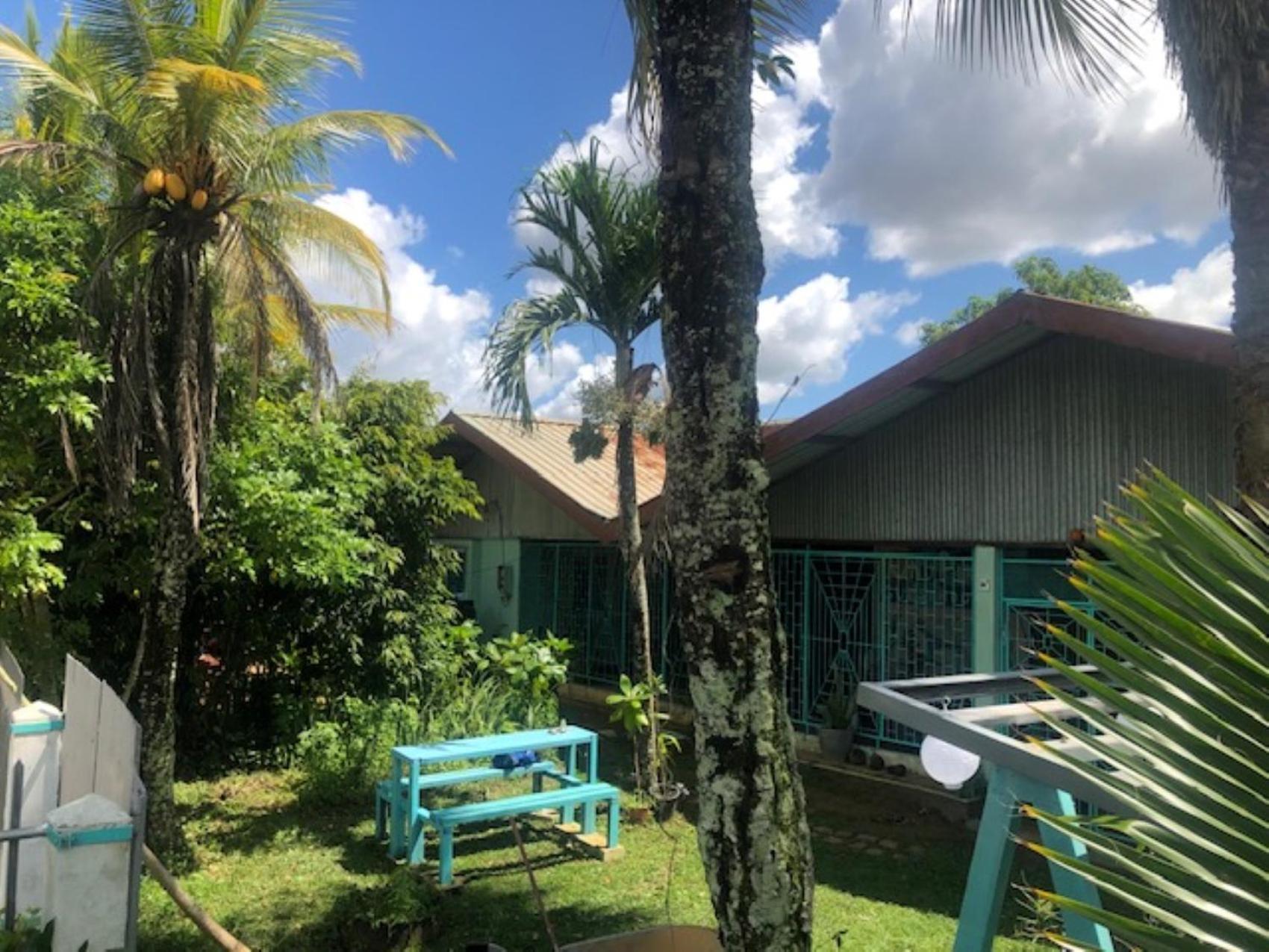 Unu Pikin Guesthouse Paramaribo Ngoại thất bức ảnh