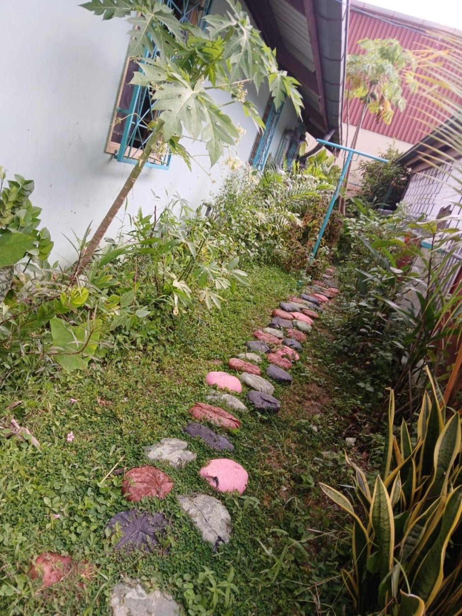 Unu Pikin Guesthouse Paramaribo Ngoại thất bức ảnh